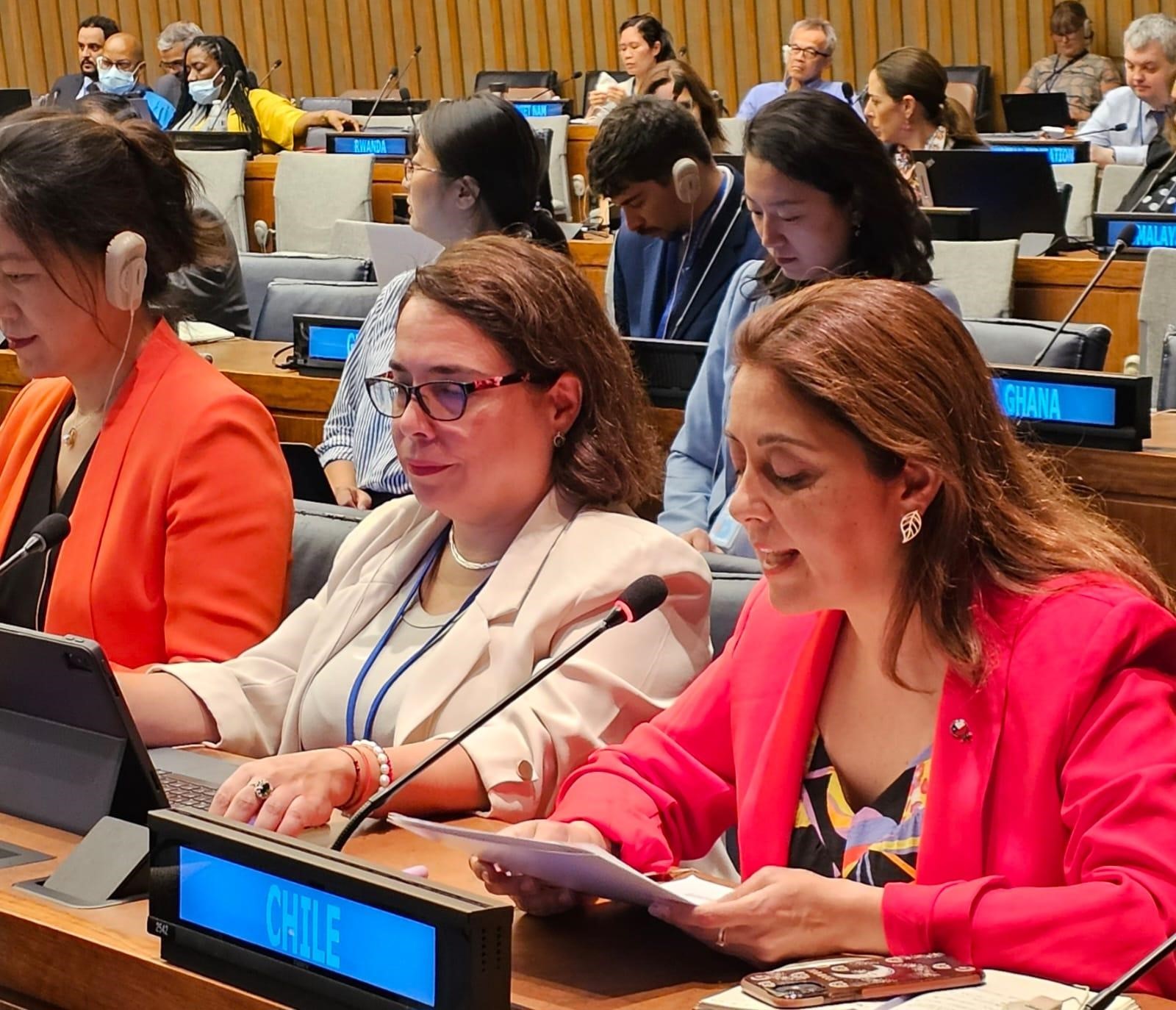 Decimocuarta Sesión del Comité de Expertos de las Naciones Unidas sobre Gestión Global de la Información Geoespacial (UN-GGIM) 